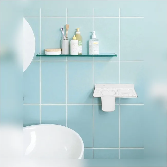 3 in 1 Toothbrush Holder and Soap Dish